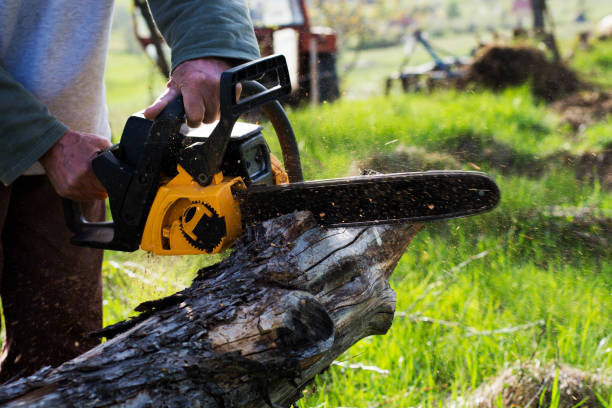 Best Aeration Services  in Ansted, WV